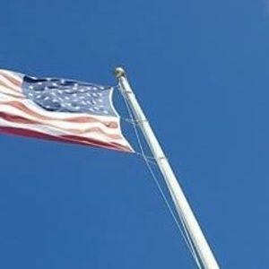 Meet your Posher, Bill